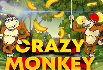 Crazy Monkey